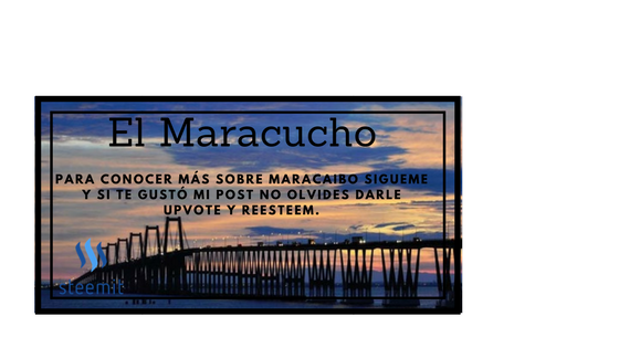 El Maracucho.png