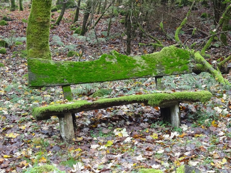 reclaimed bench.jpeg