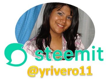 TARJETA STEEMIT.jpg