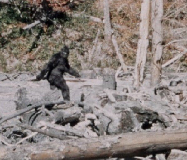 Bigfoot.jpg