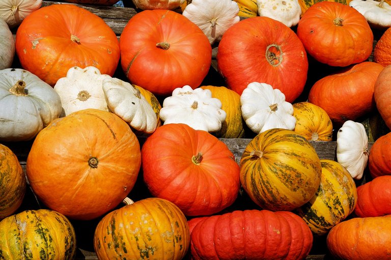 pumpkins-2714744_1920.jpg