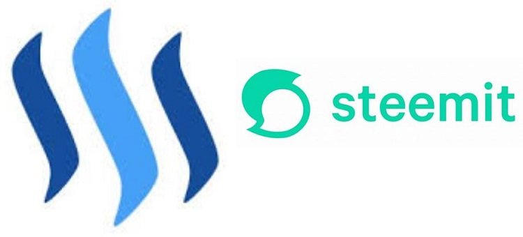 Steem course.JPG