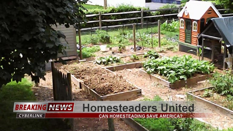 Homesteaders United.jpg