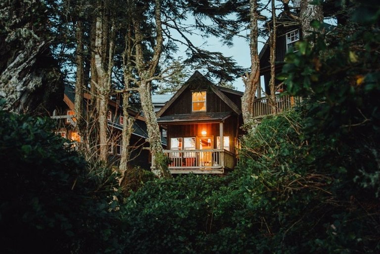 ucluelet cabin.jpg