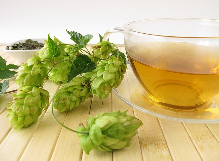 hops-tea.jpg