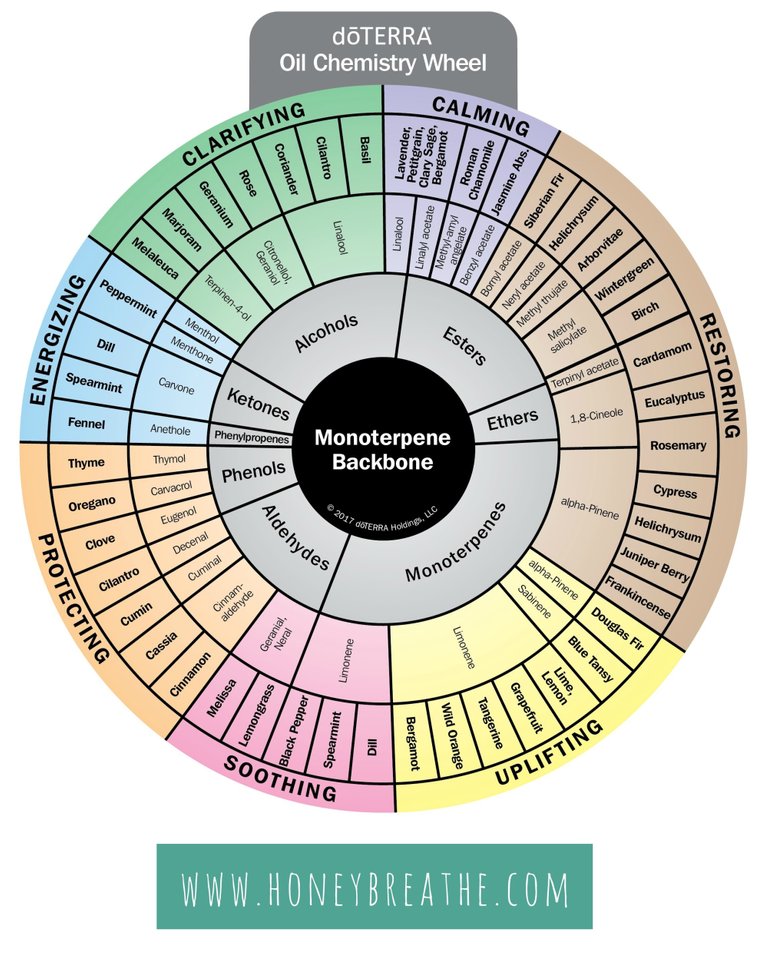 wheel1labeled.jpg