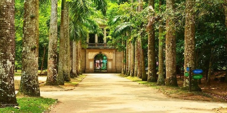 jardim botanico.jpg