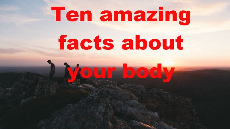 Ten amazing facts about your body.jpg