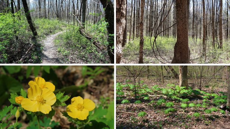 McCormick's Creek State Park (2).png