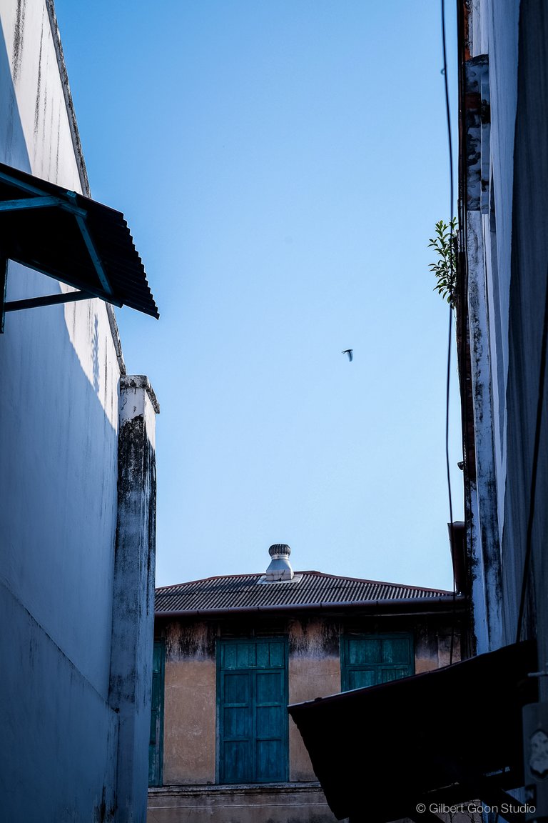 penang-steemit-9.jpg