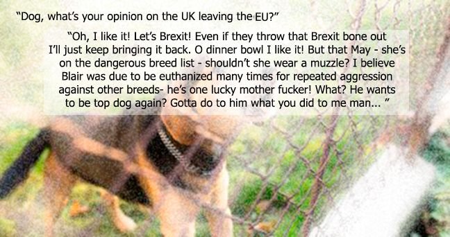 dogbrexit.jpg