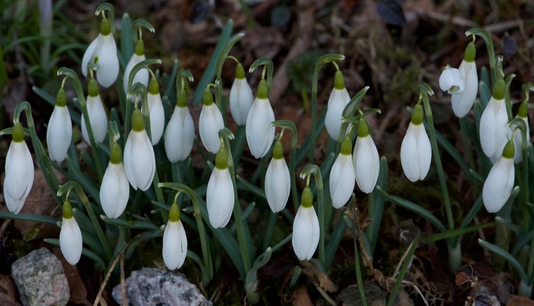 DSC_0588.jpg