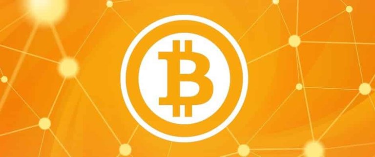 jason_benjamin-bitcoin-wall4-1600-1140x3951.jpg