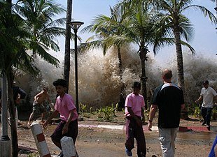 310px-2004-tsunami.jpg