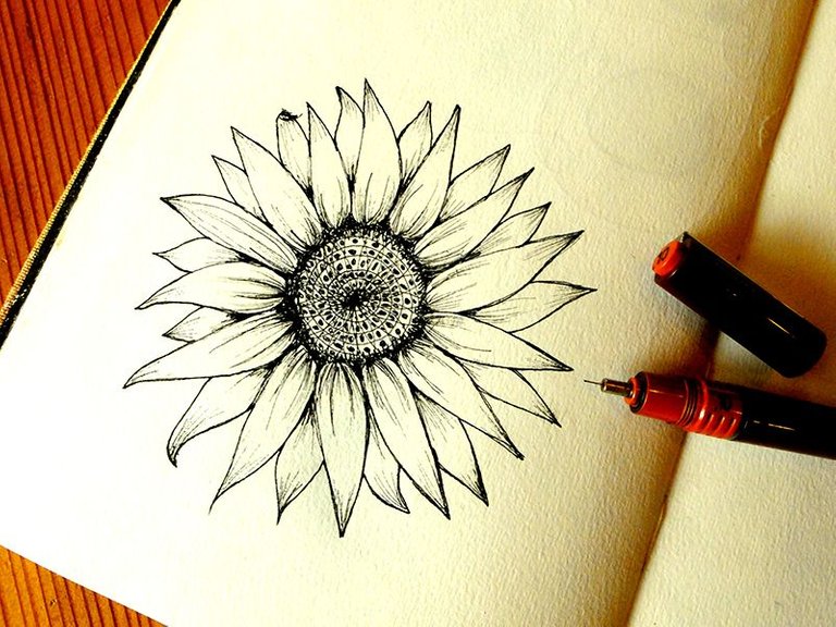 sunflower small.jpg
