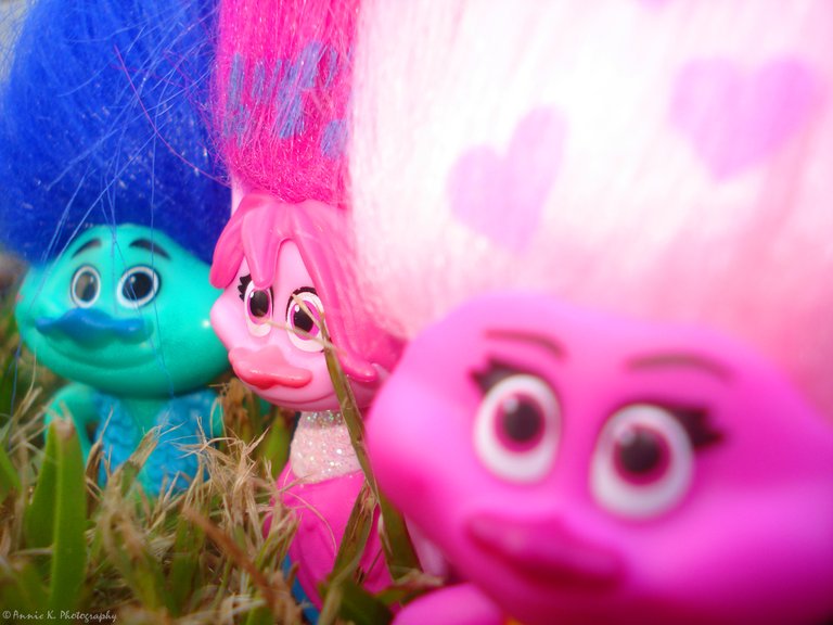 Trolls-colourful-selfie-4.jpg