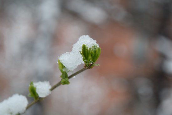 DSC_0729.JPG