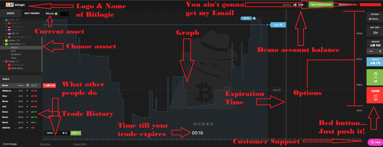 BitLogic Interface.png