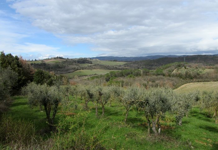 tuscany-02b.JPG