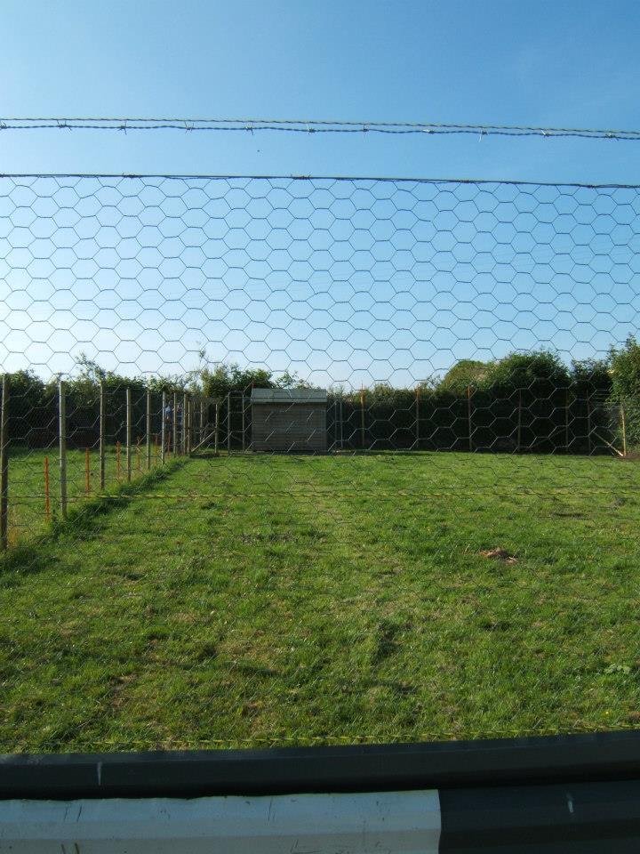 fence1.jpg