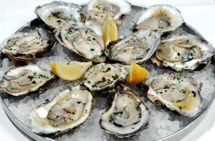 oysters.JPG