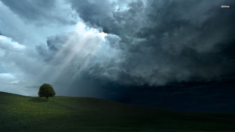 storm-cloud-ray-light-tree-field-hill-grass.jpg