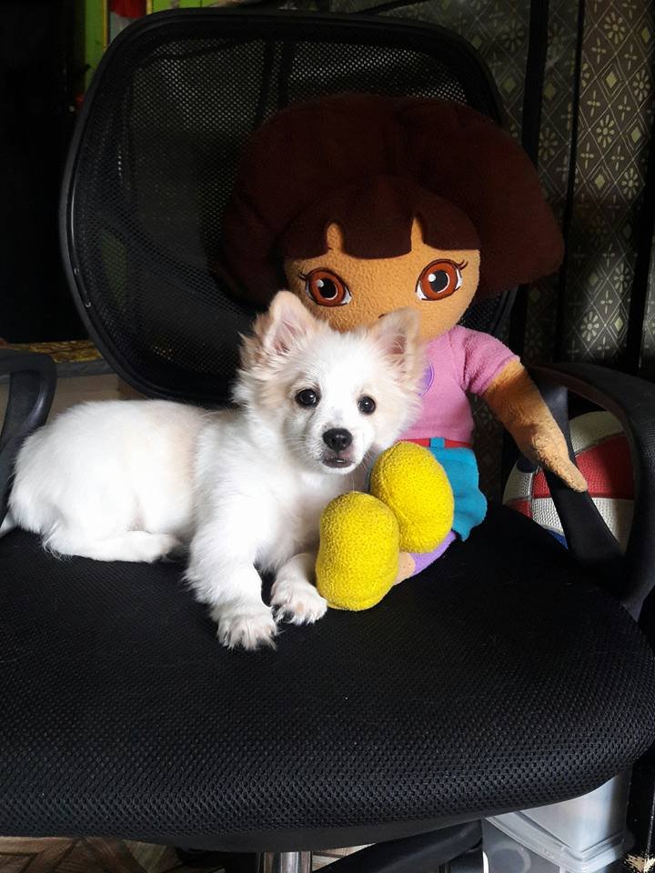 luna and dora.jpg