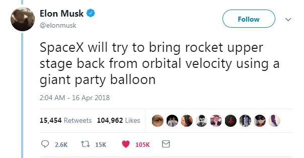 musk 2.JPG