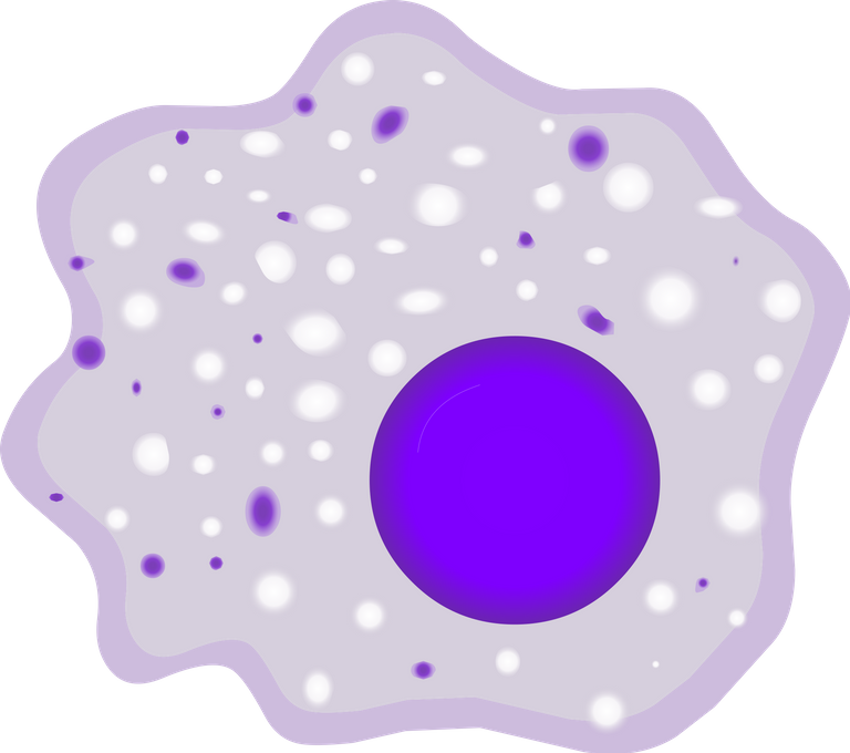 2000px-Macrophage.svg.png