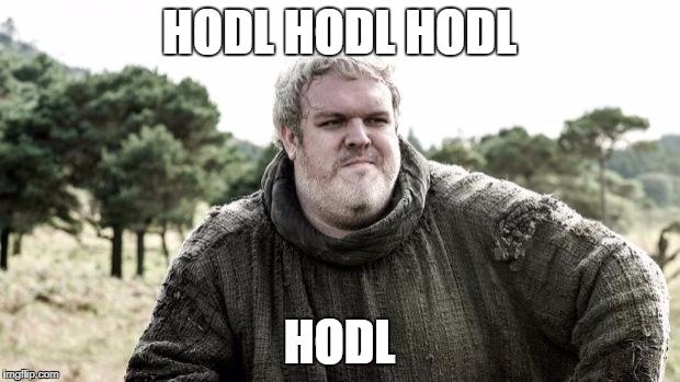 hodl.jpg