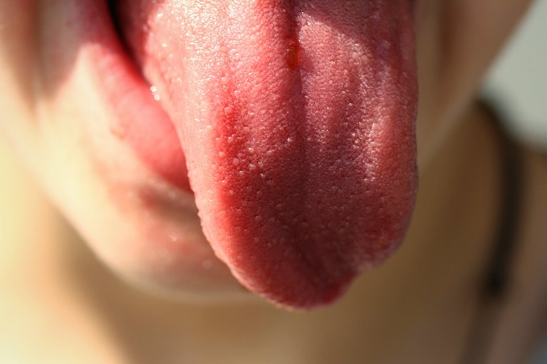 tongue-822441_1920.jpg