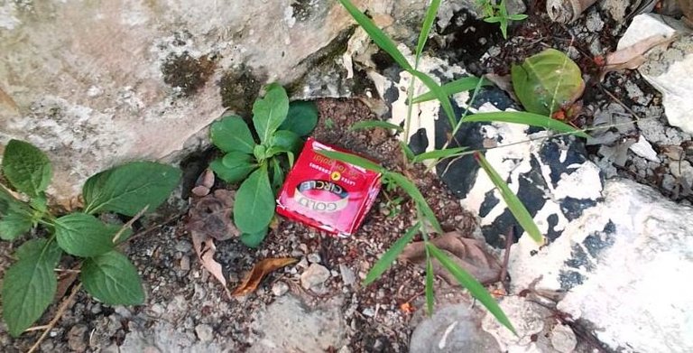 condom(2).jpg