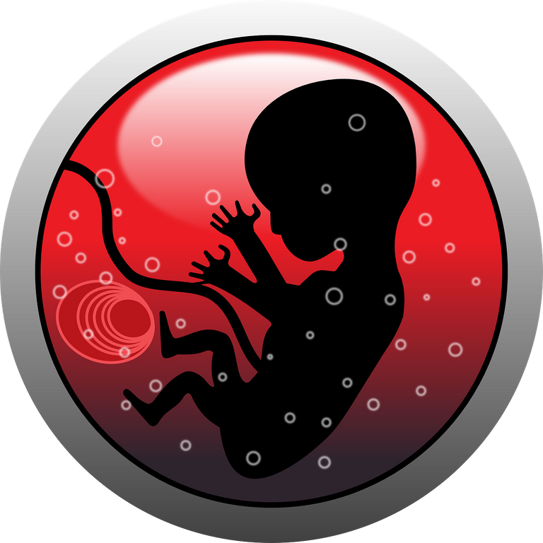 embryo-159691_1280.png