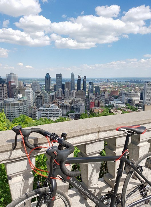 Mont royal on top.jpg