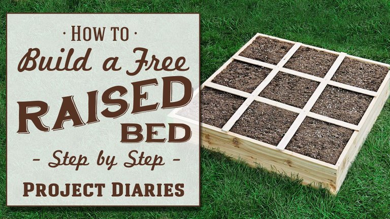 FREE RAISED BED.jpg