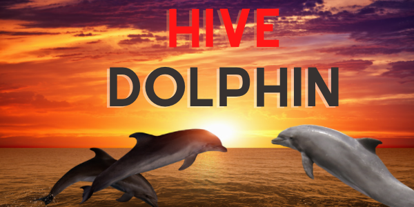hive-dolphins