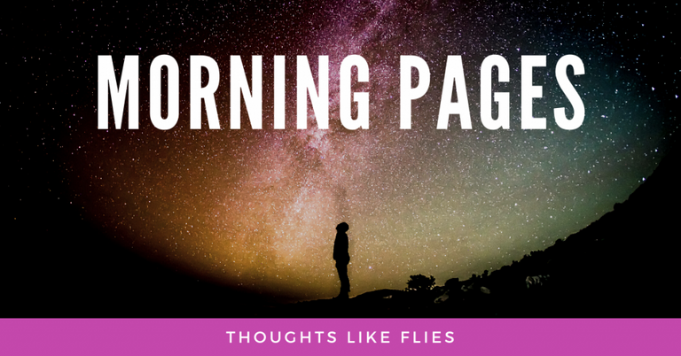 Morning Pages - Thoughts Like Flies