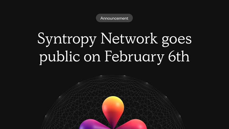 Anticipating the Syntropy Network Public Launch