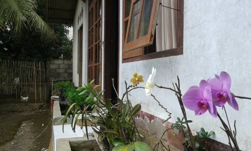 Sekaton Homestay Hotel, Tetebatu Hotels, Indonesia