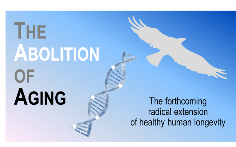 The Abolition of Aging