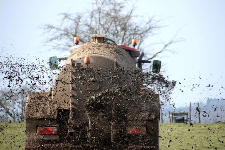 spreading manure