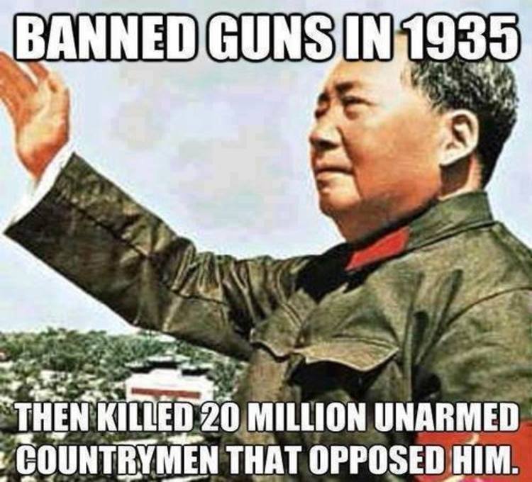 Image result for gun ban meme