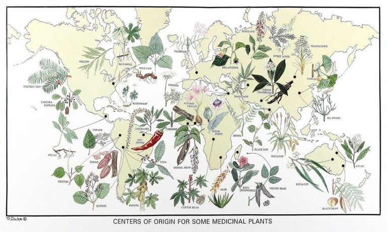 medicinal plants amazon