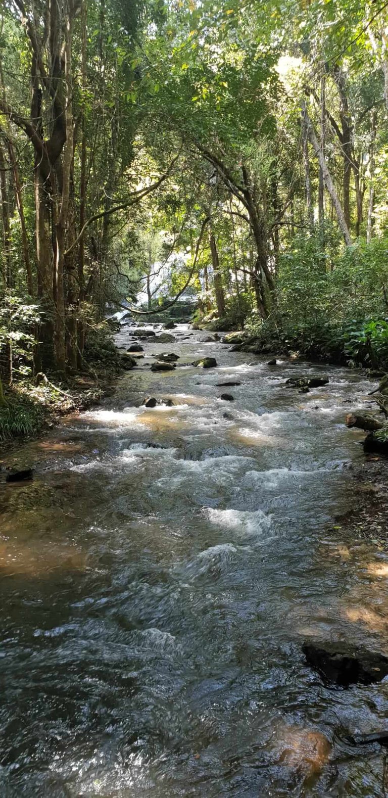 The river was a picture of tranquility