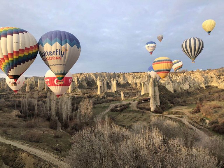 Colourful balloons filling the morning sky