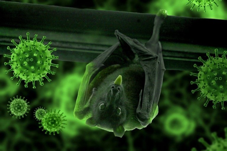 People are understanding that wildlife trade has to an end as it is a key driver of zoonotic diseases like the coronavirus disease