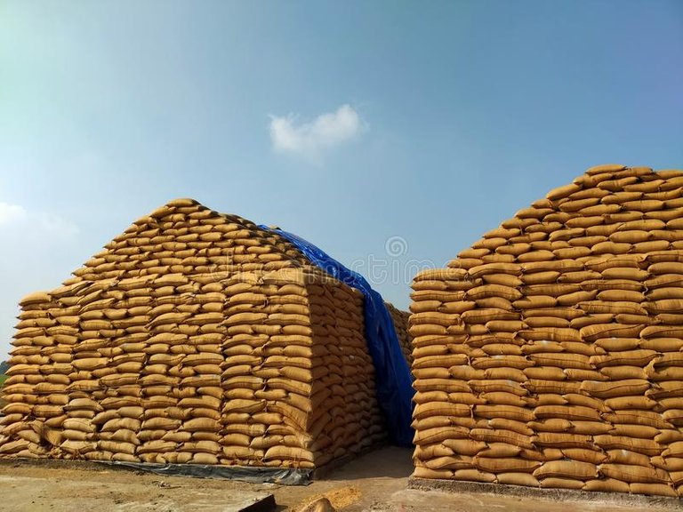 Wheat storage
