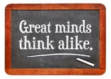 Image result for great minds think alike