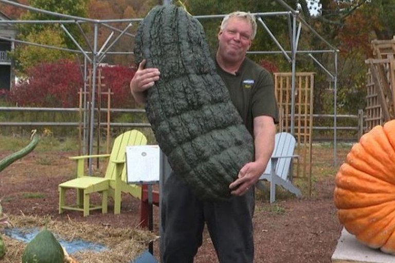 Biggest zucchini contest