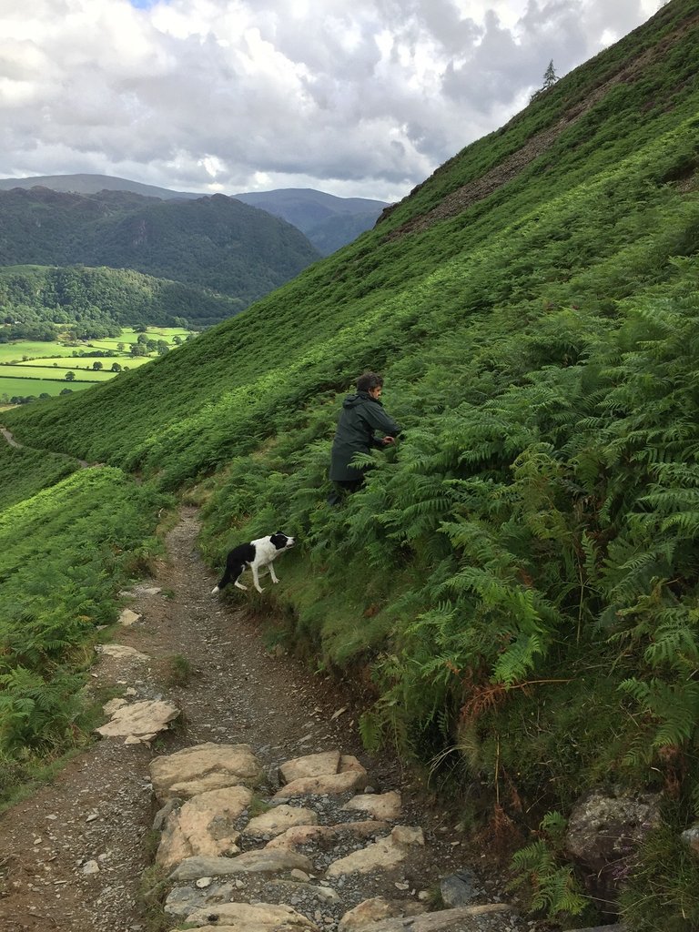 英国登山2017